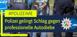 Autodiebeklein