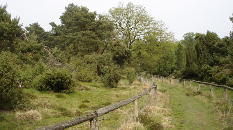 Rundwanderweg Loosenberge BSKW