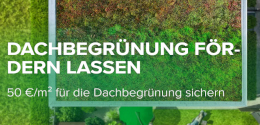Dachbegruenungklein