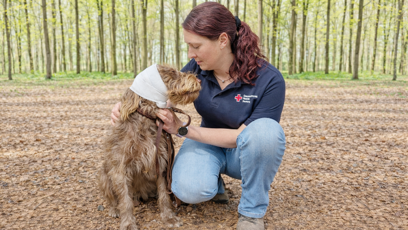 ErsteHilfeamHund