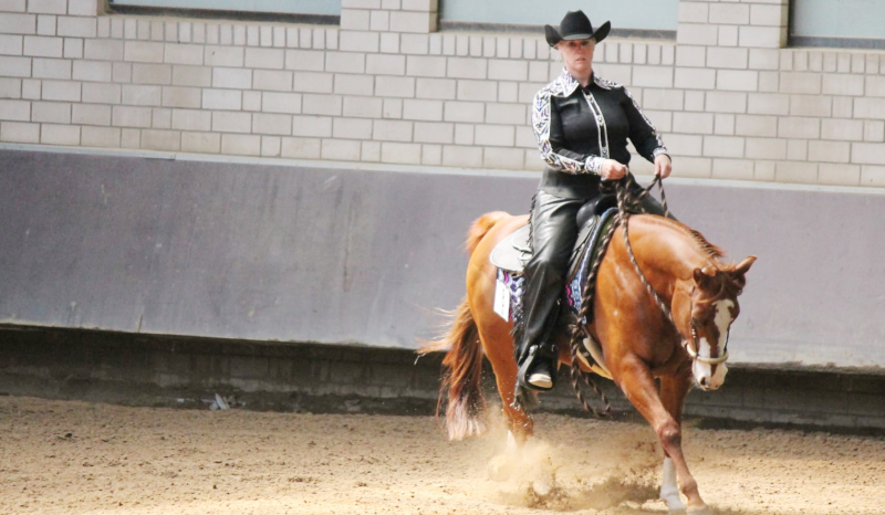 Westernreitturnier Foto Privat 2