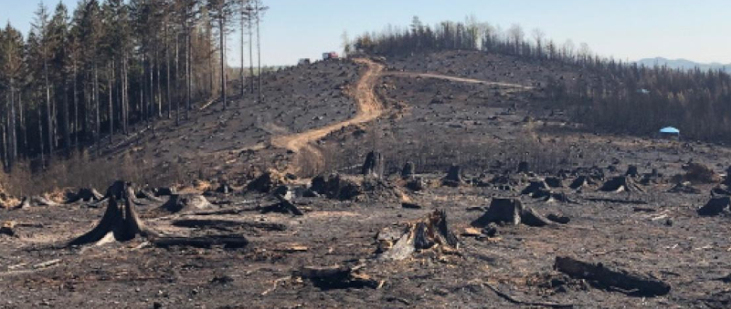 Waldbrand Gummersbach