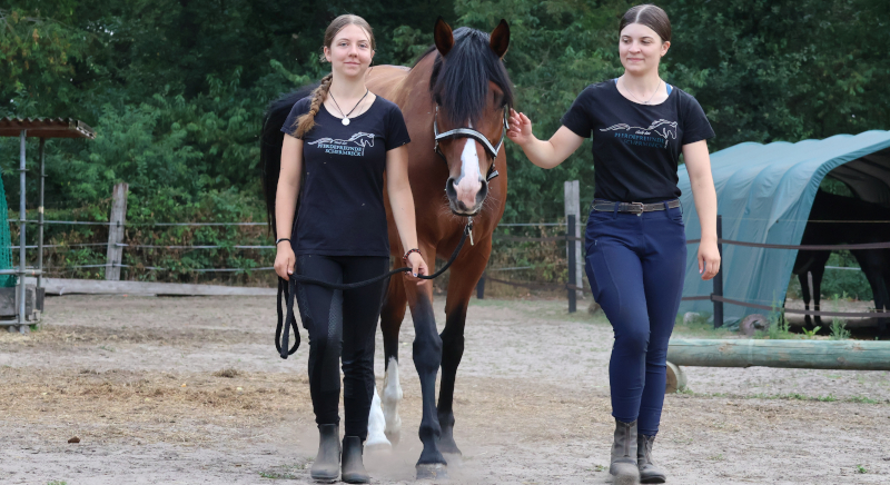 SB Club der Pferdefreunde Schermbeck 4 8 2026 ak 36