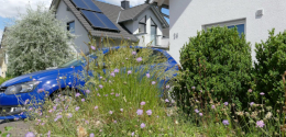 Gartenvortragklein