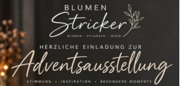 Adventausstellungklein