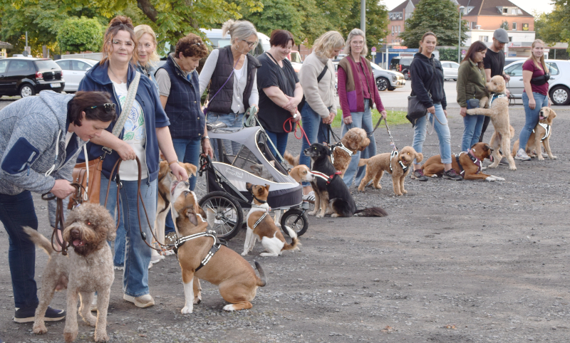 Hundetreffen