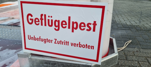 Geflpest